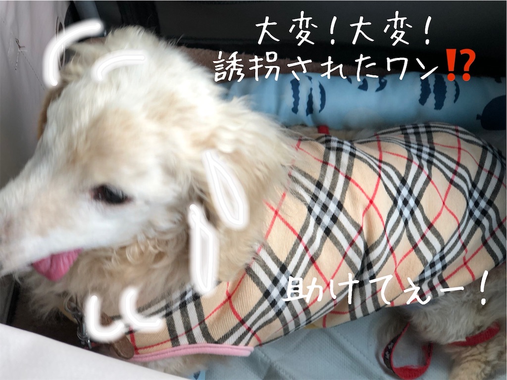f:id:renkunno:20200518215541j:image f:id:renkunno:20200518215541j:image