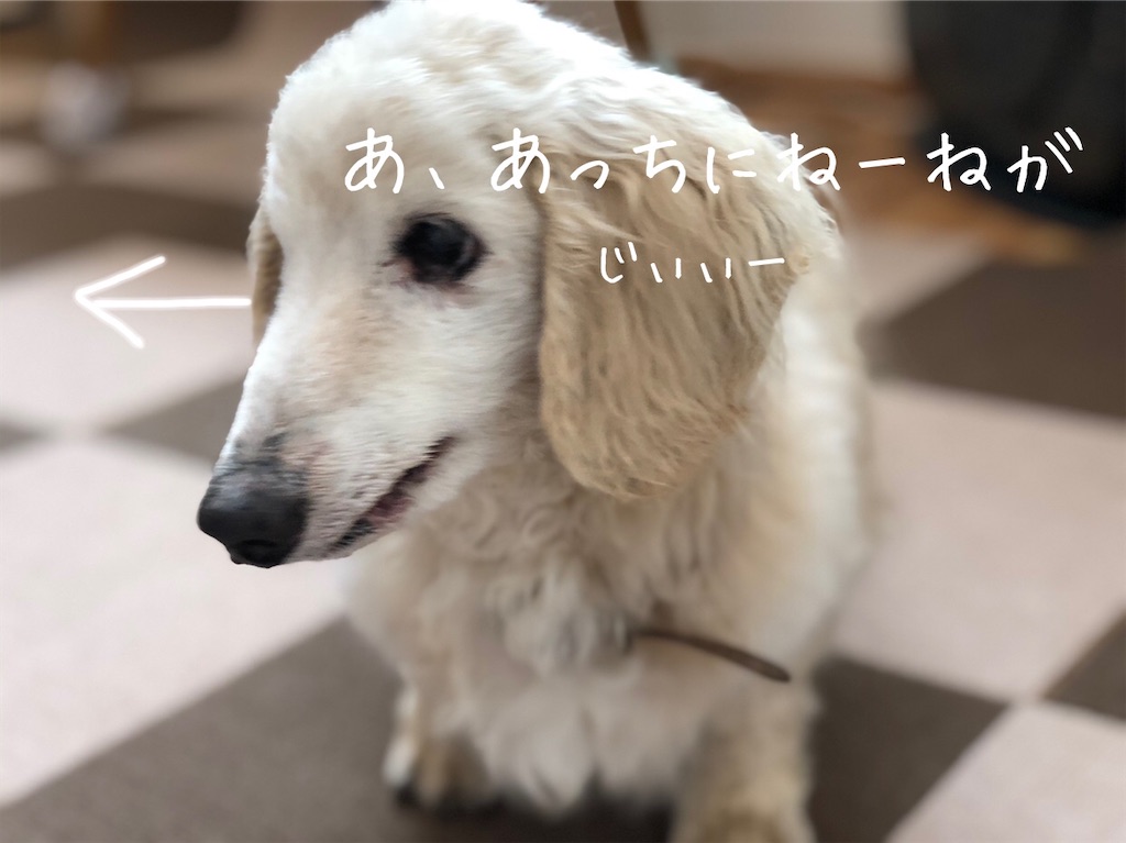 f:id:renkunno:20200601132356j:image