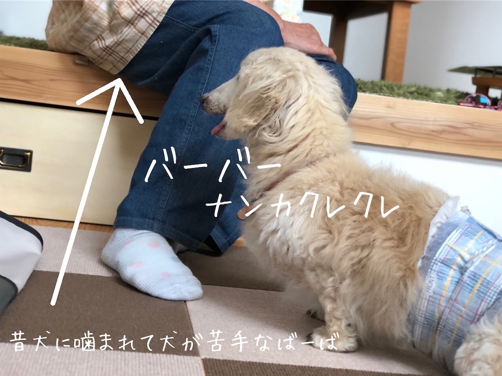 f:id:renkunno:20200601141709j:image