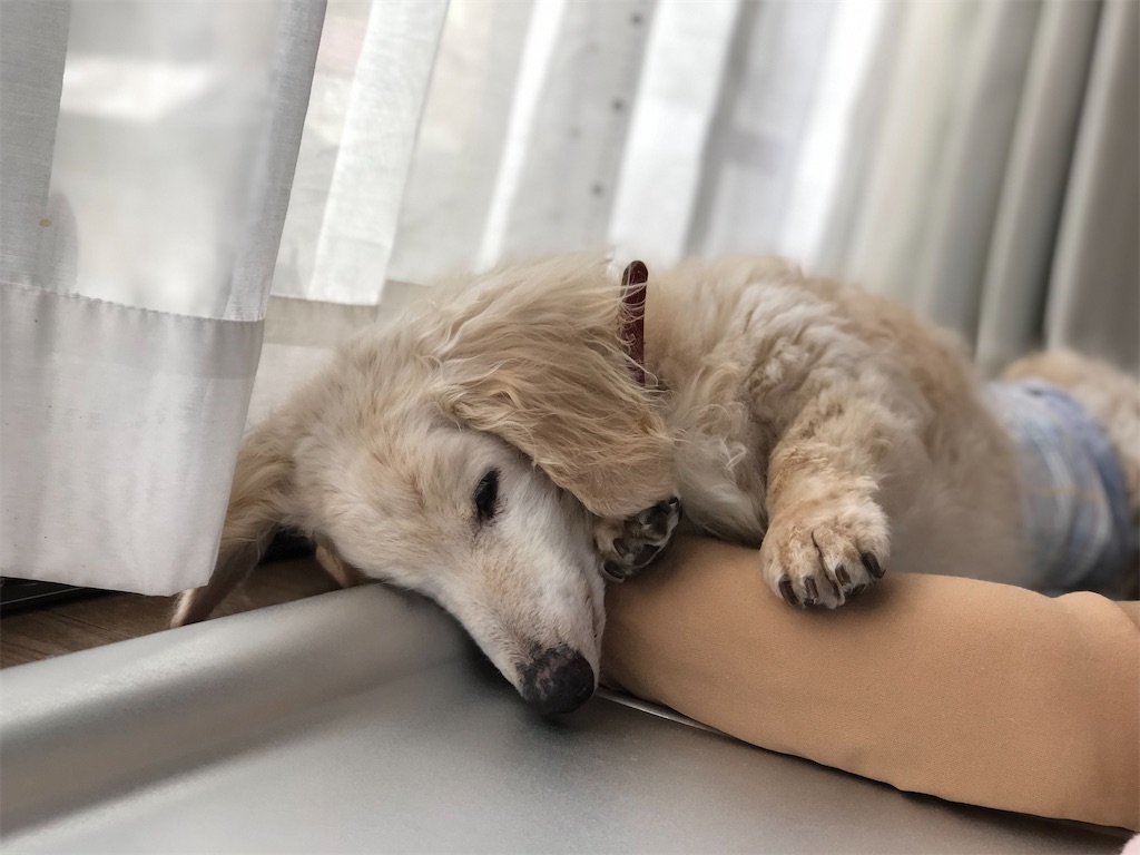 f:id:renkunno:20200720150123j:image