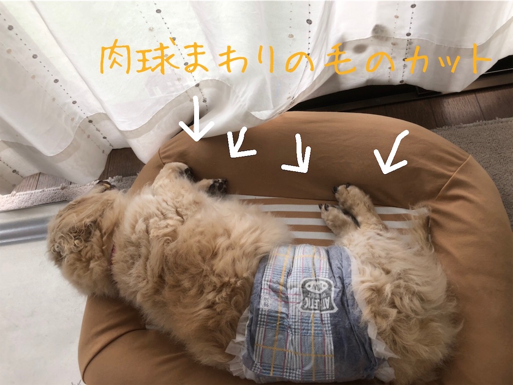 f:id:renkunno:20200720153340j:image