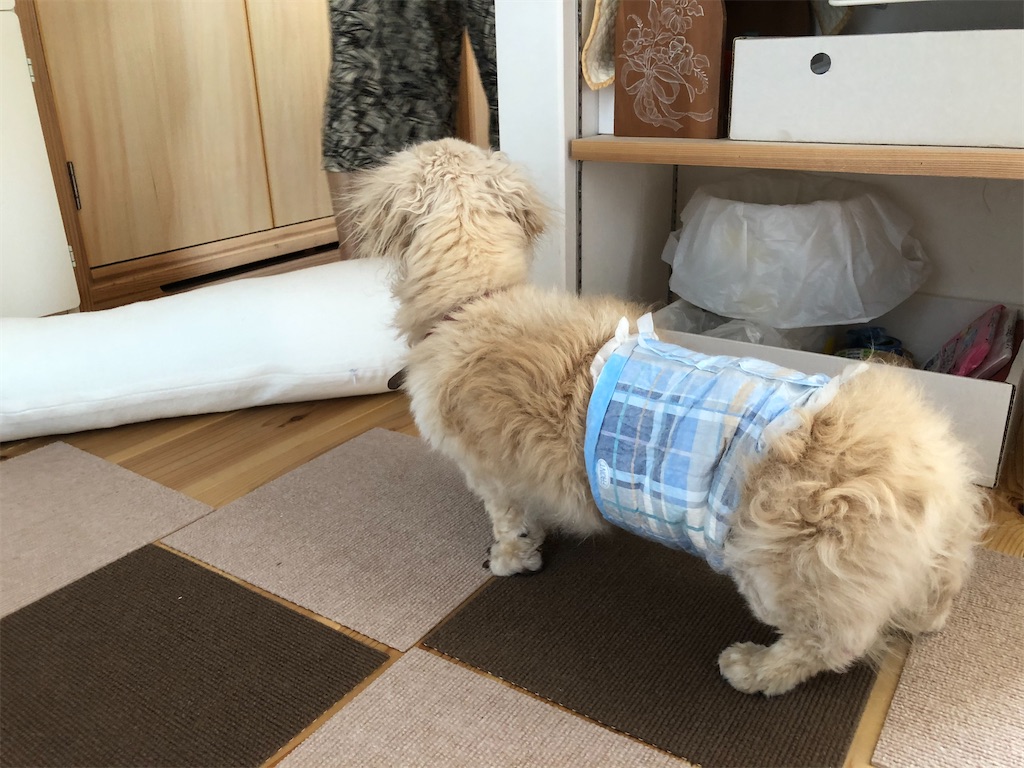 f:id:renkunno:20200723152742j:image
