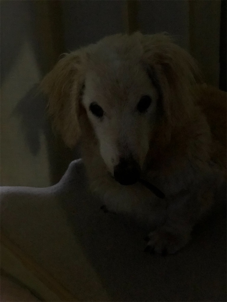 f:id:renkunno:20200919152443j:image