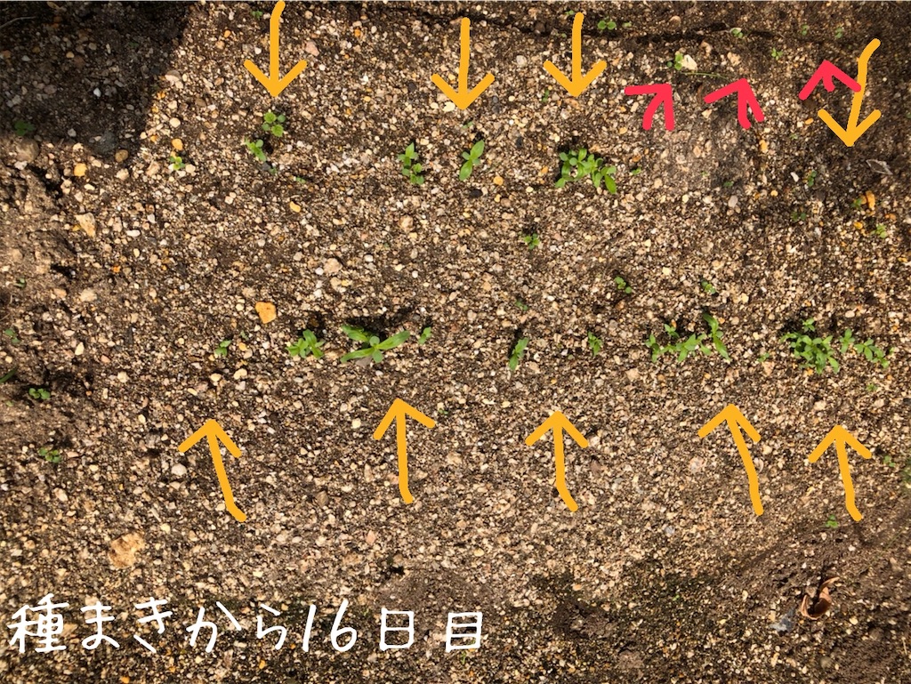 f:id:renkunno:20201012140412j:image f:id:renkunno:20201012140412j:image