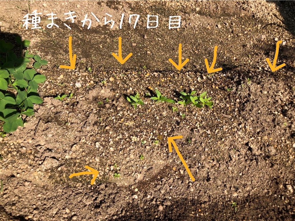 f:id:renkunno:20201013151655j:image f:id:renkunno:20201013151655j:image