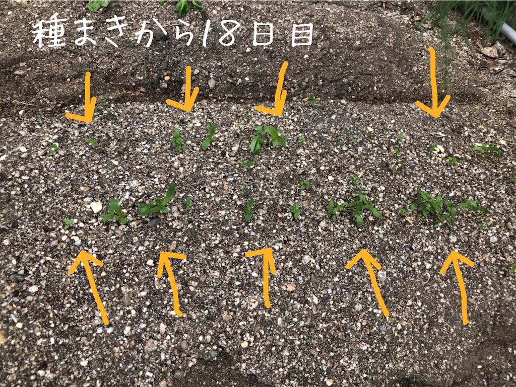 f:id:renkunno:20201014135458j:image f:id:renkunno:20201014135458j:image