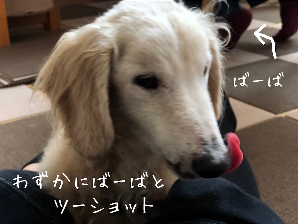 f:id:renkunno:20201017122213j:image f:id:renkunno:20201017122213j:image