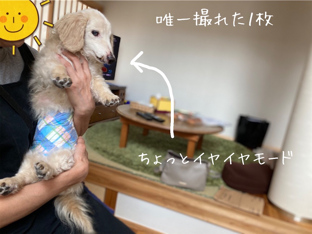 f:id:renkunno:20201017123402j:image f:id:renkunno:20201017123402j:image
