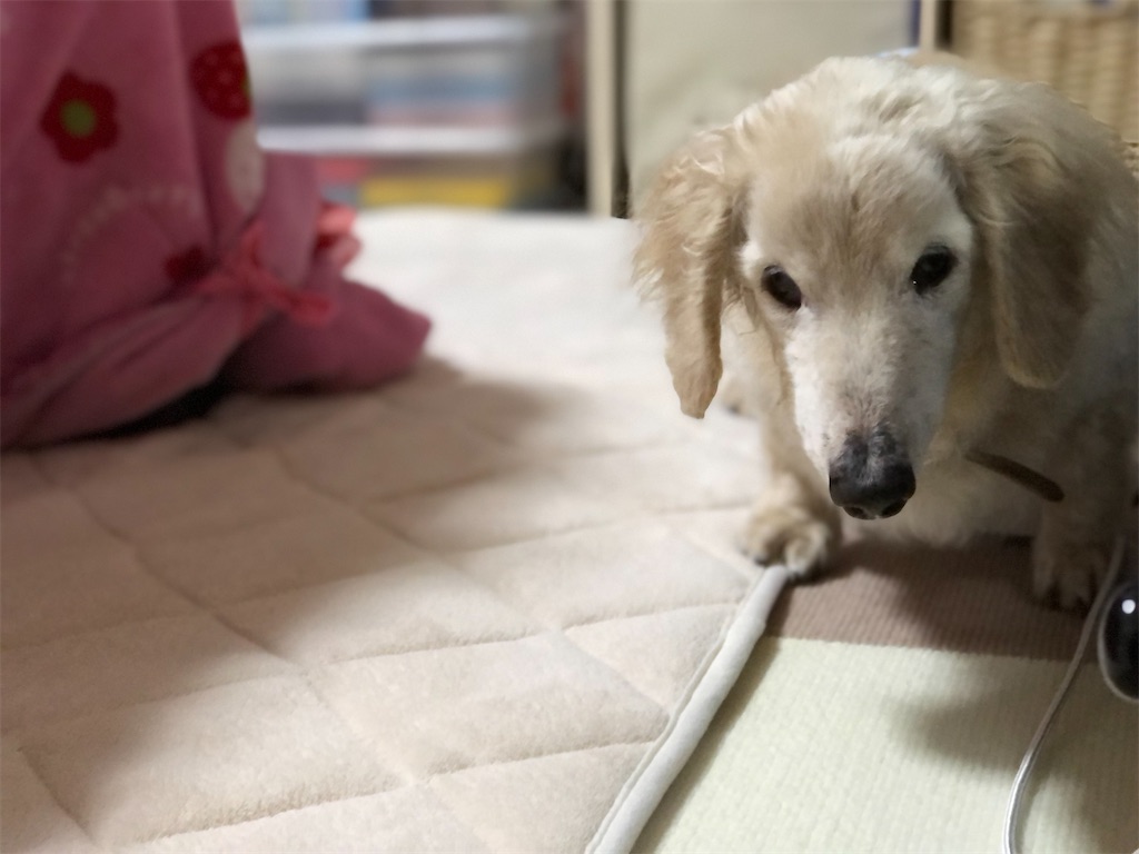 f:id:renkunno:20201024210152j:image f:id:renkunno:20201024210152j:image