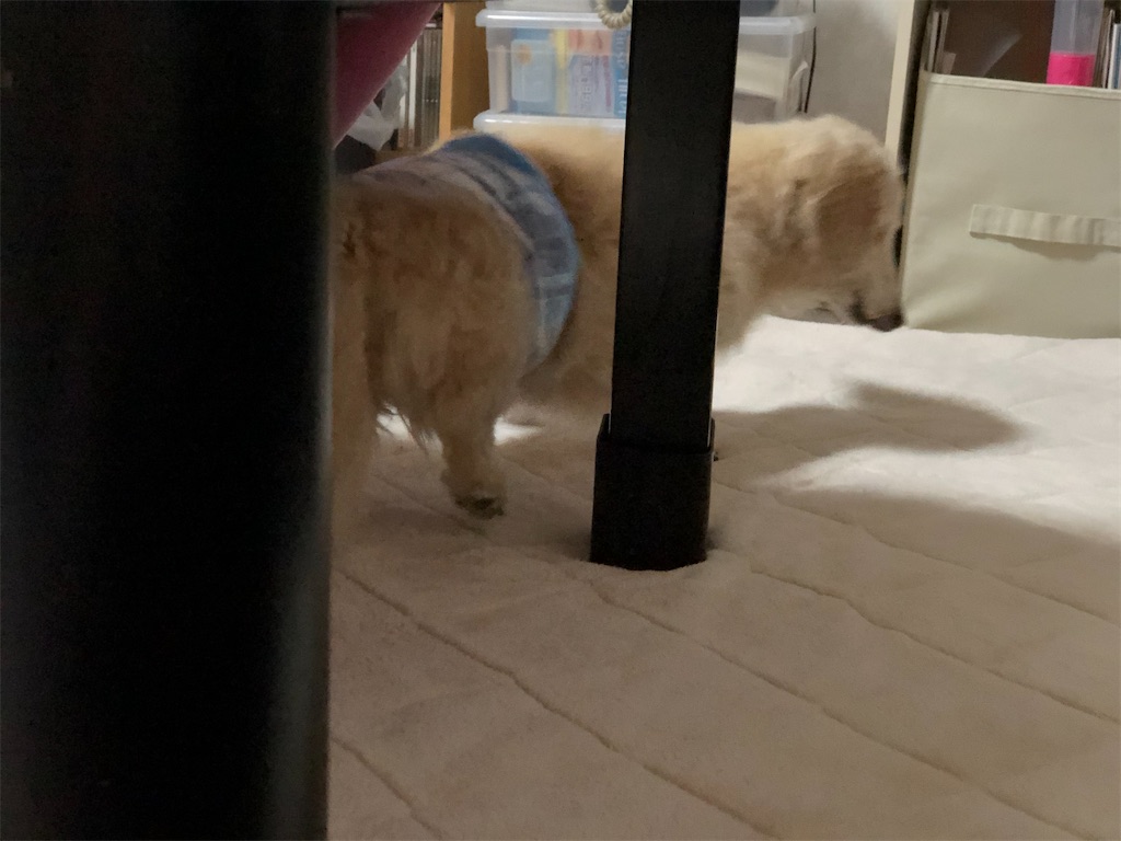 f:id:renkunno:20201024210233j:image f:id:renkunno:20201024210233j:image
