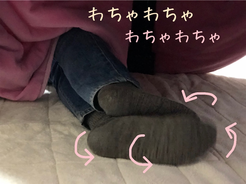f:id:renkunno:20201024210913j:image f:id:renkunno:20201024210913j:image