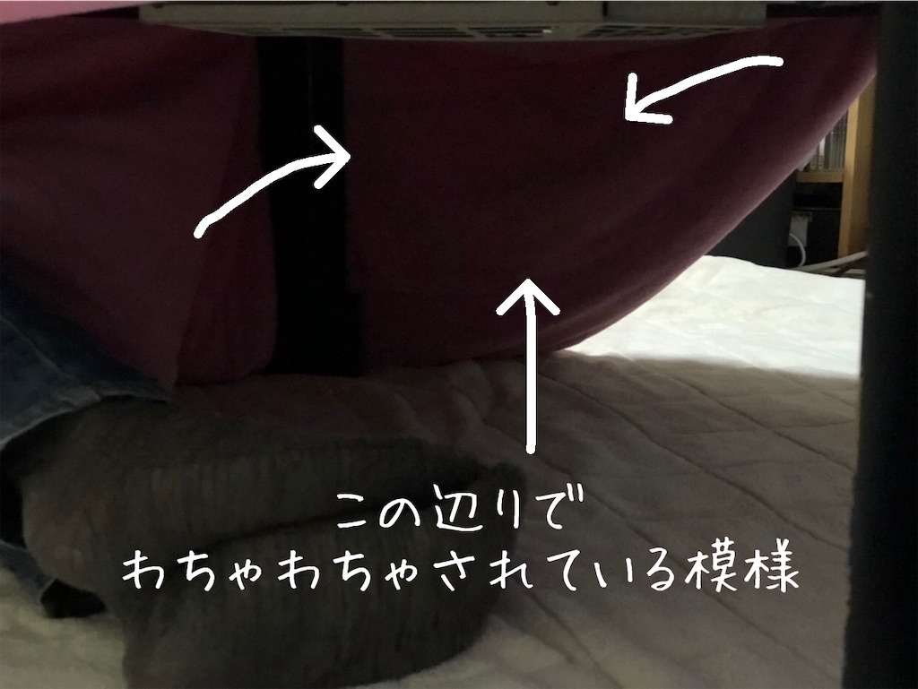 f:id:renkunno:20201024211219j:image f:id:renkunno:20201024211219j:image