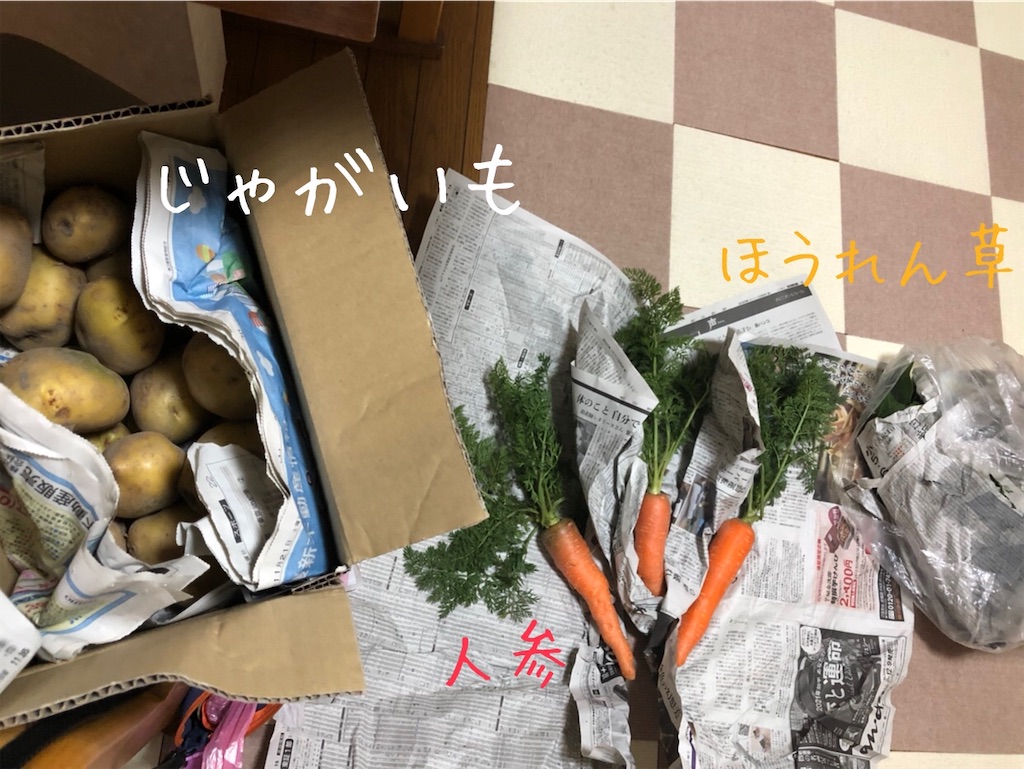 f:id:renkunno:20201216192955j:image
