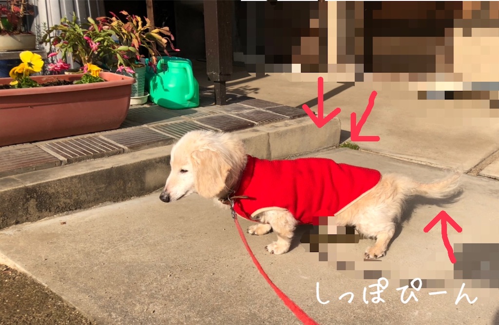f:id:renkunno:20201229210201j:image