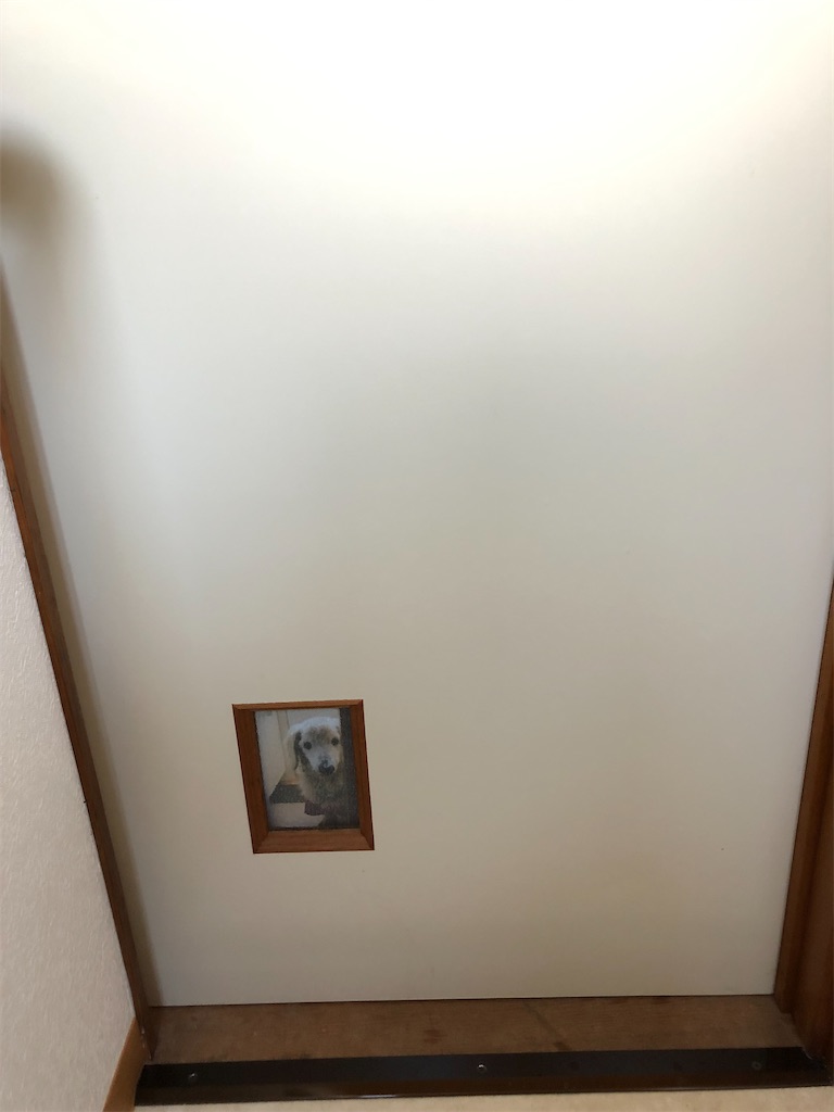 f:id:renkunno:20210103131545j:image