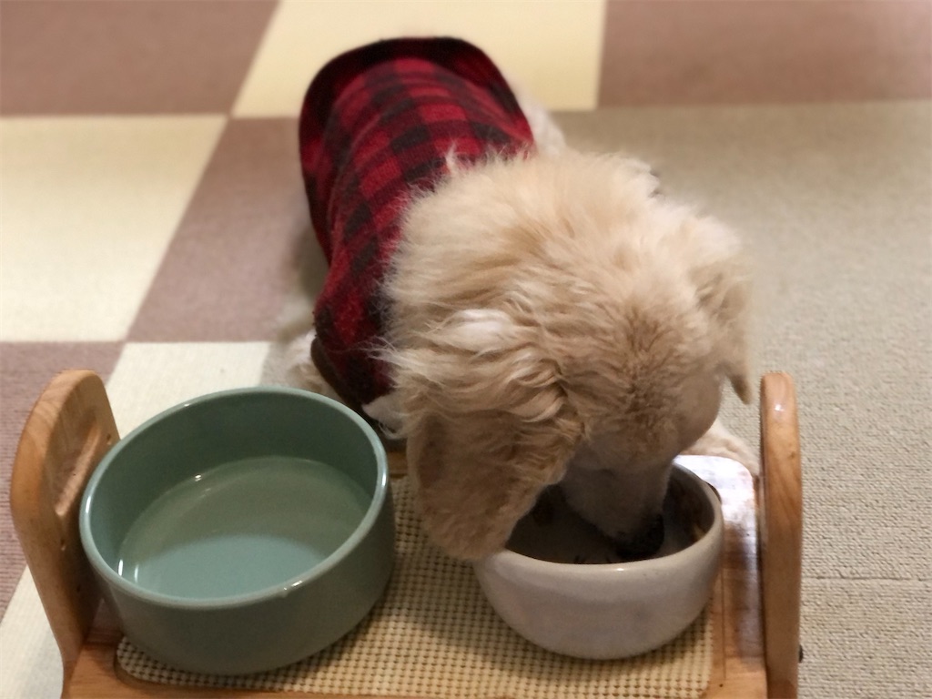 f:id:renkunno:20210106070243j:image