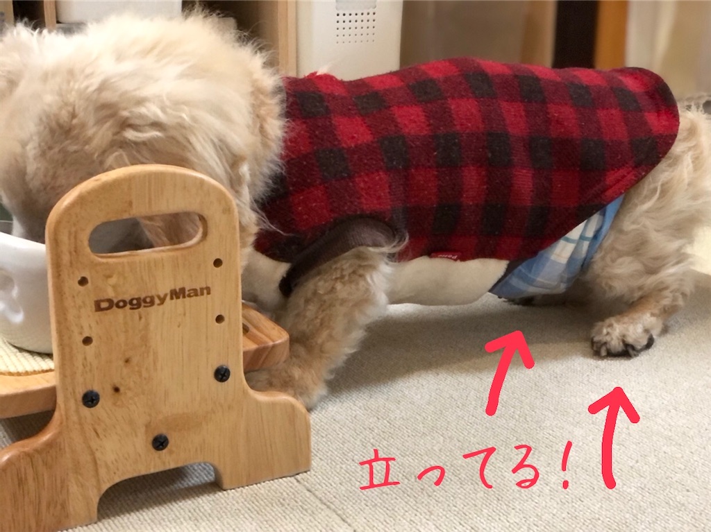 f:id:renkunno:20210106095828j:image f:id:renkunno:20210106095828j:image