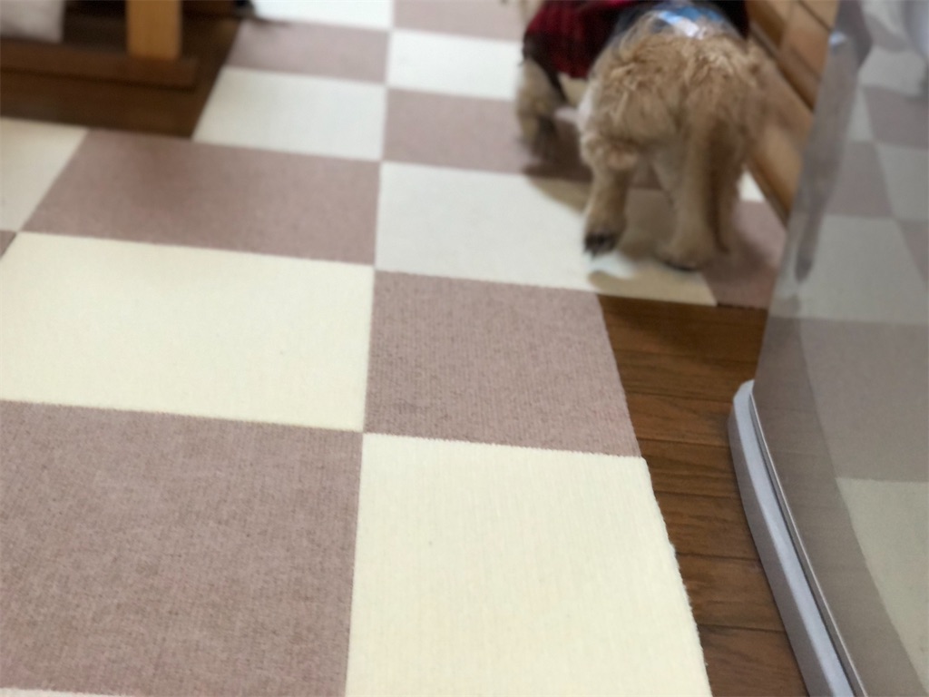 f:id:renkunno:20210109102042j:image f:id:renkunno:20210109102042j:image