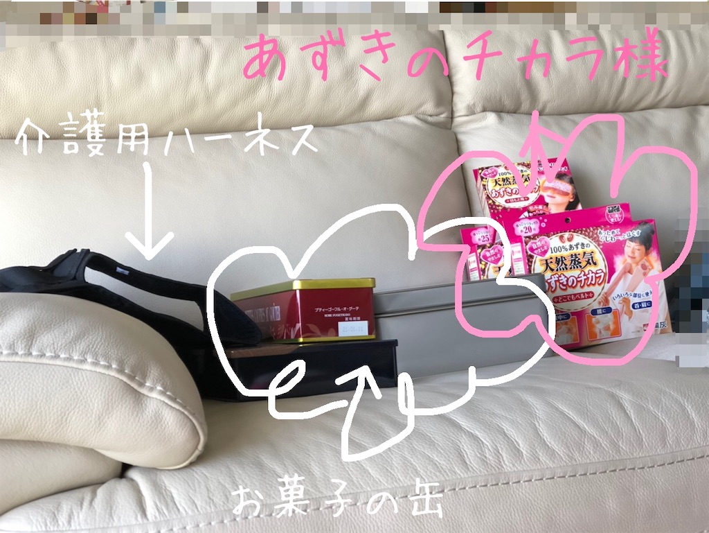 f:id:renkunno:20210109153016j:image