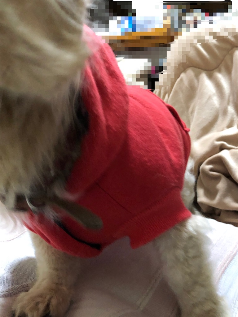 f:id:renkunno:20210110204549j:image f:id:renkunno:20210110204549j:image