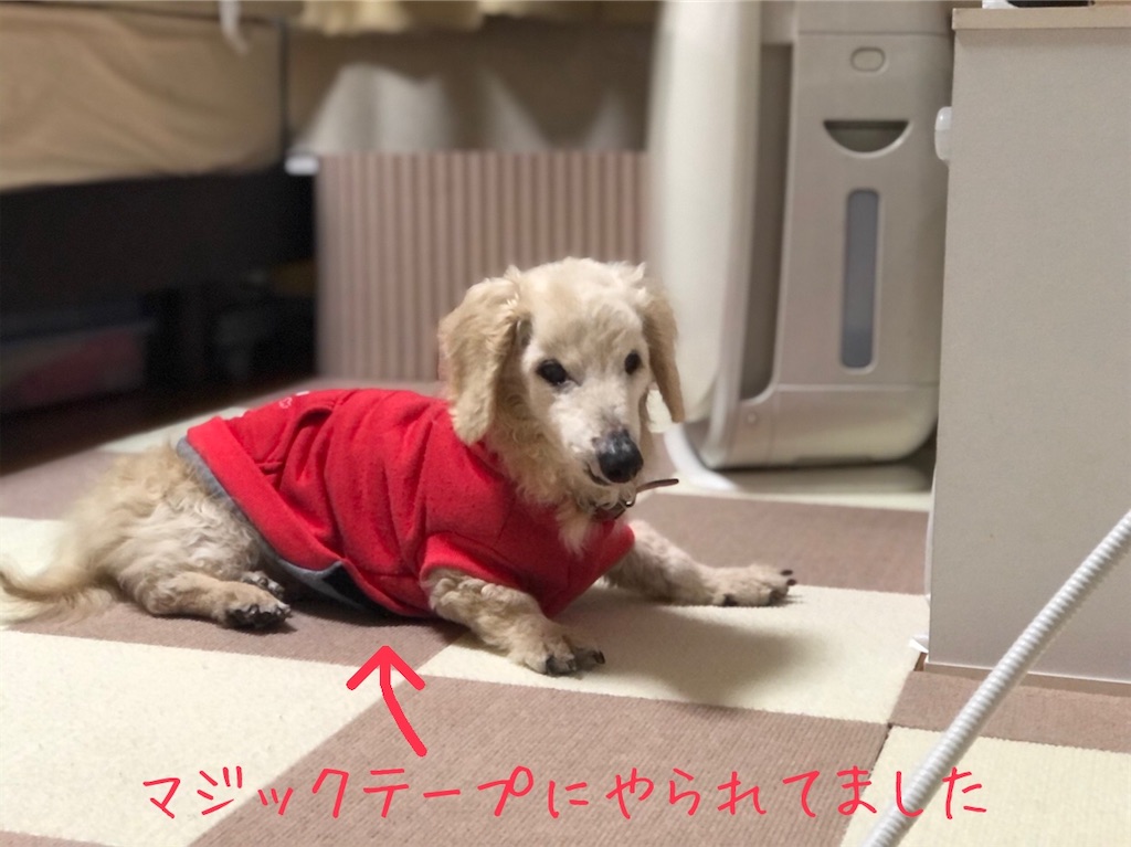 f:id:renkunno:20210113134000j:image