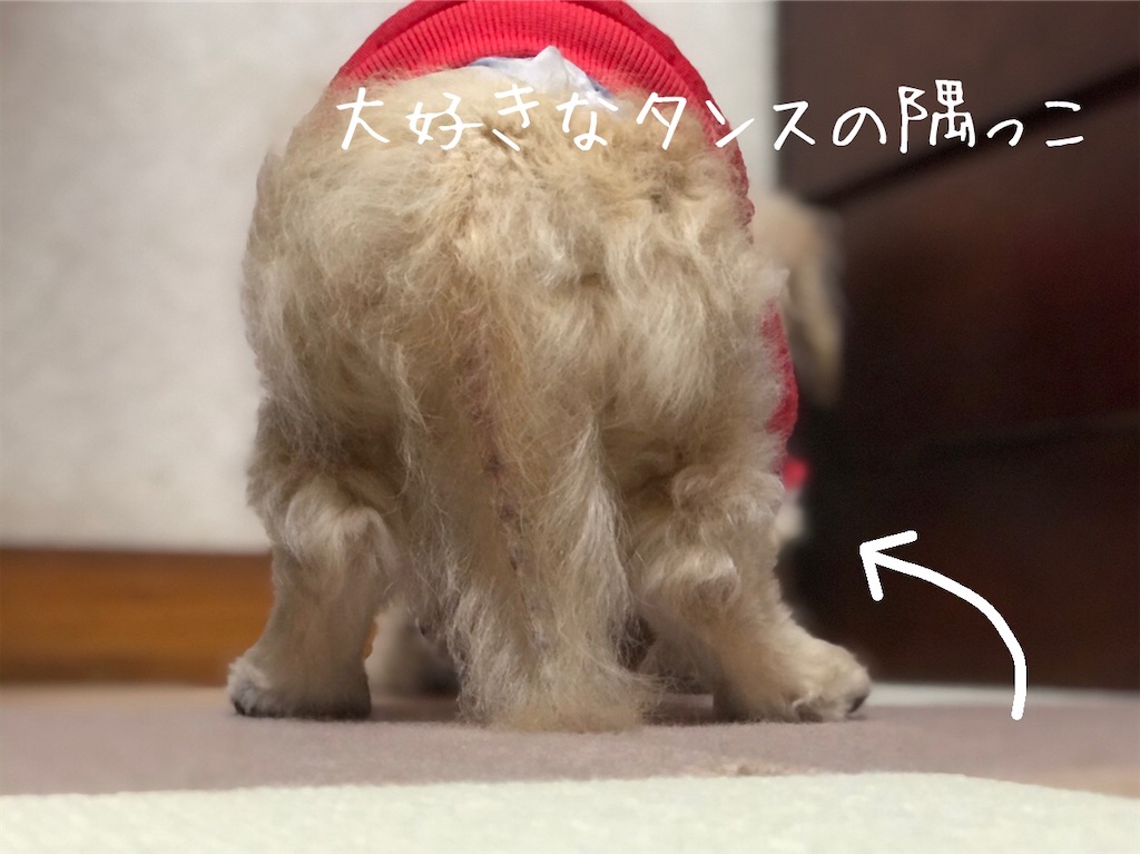 f:id:renkunno:20210113134819j:image