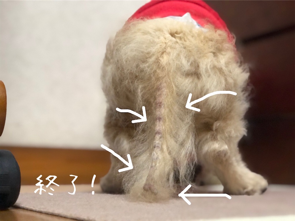 f:id:renkunno:20210113135034j:image f:id:renkunno:20210113135034j:image