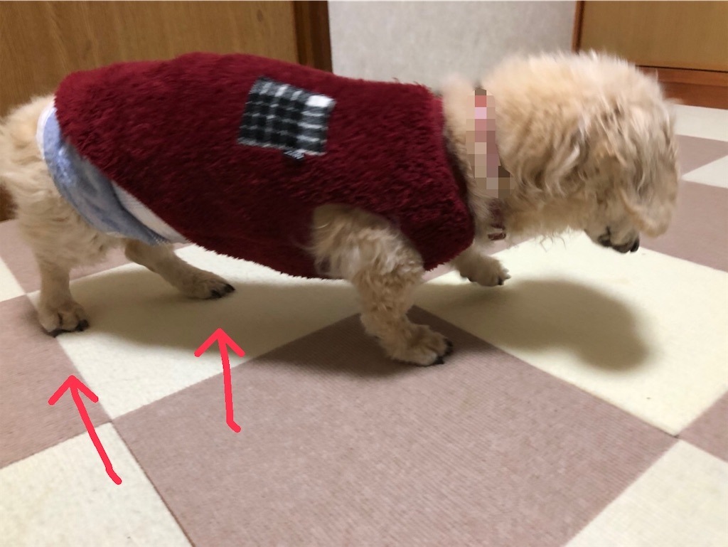f:id:renkunno:20210124141527j:image f:id:renkunno:20210124141527j:image