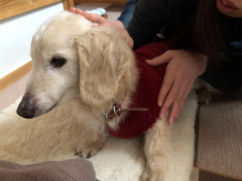 f:id:renkunno:20210201215813j:image f:id:renkunno:20210201215813j:image