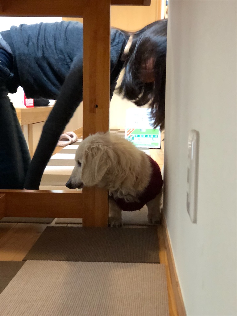 f:id:renkunno:20210202135928j:image f:id:renkunno:20210202135928j:image