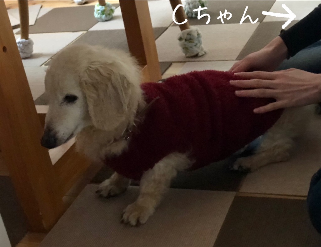 f:id:renkunno:20210202235909j:image f:id:renkunno:20210202235909j:image