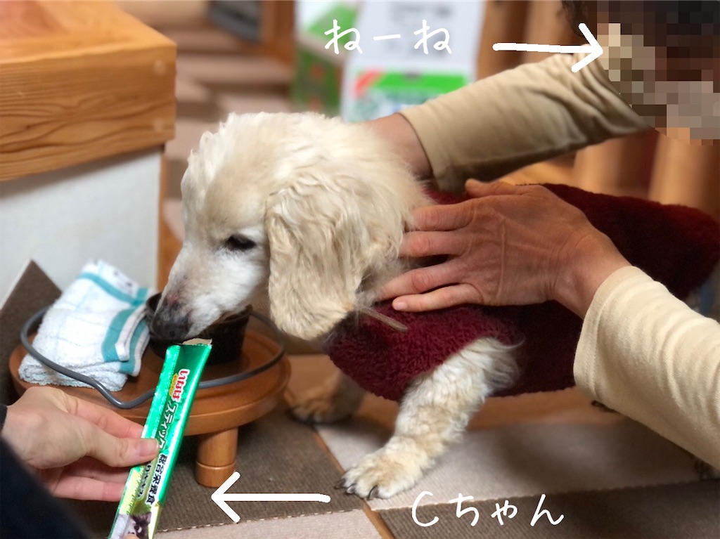 f:id:renkunno:20210202235927j:image f:id:renkunno:20210202235927j:image