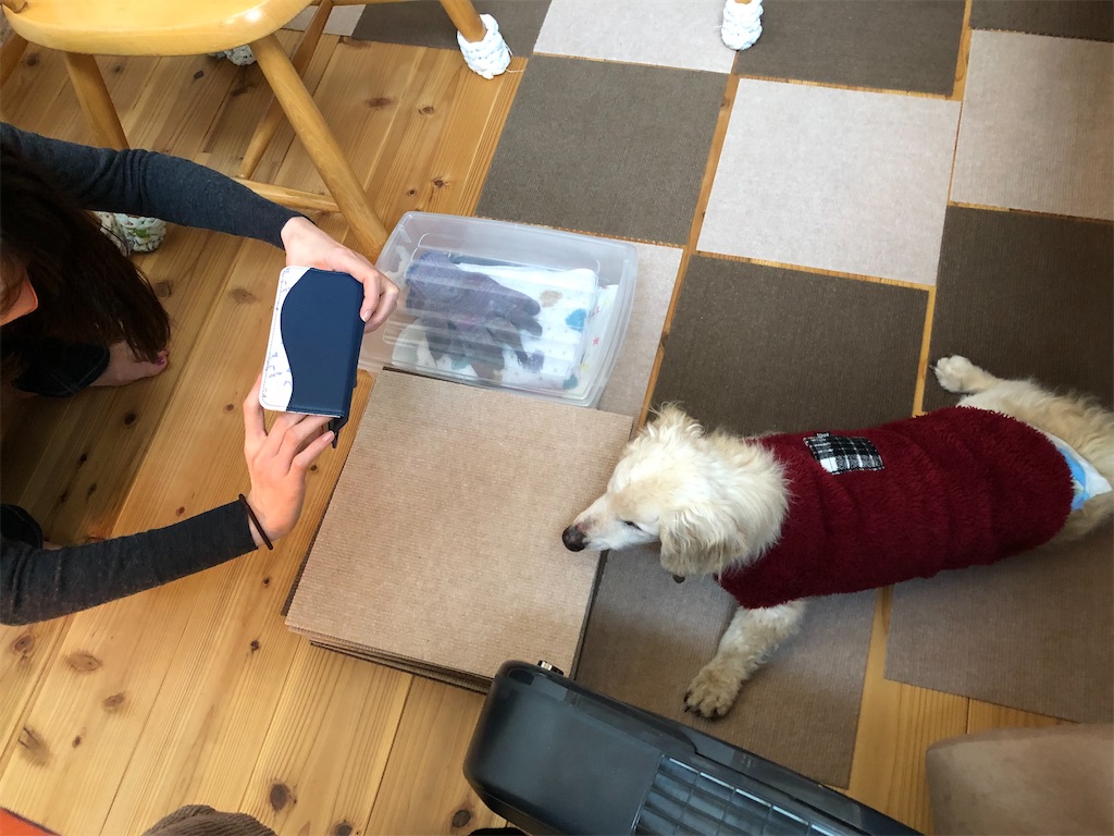 f:id:renkunno:20210203145840j:image f:id:renkunno:20210203145840j:image