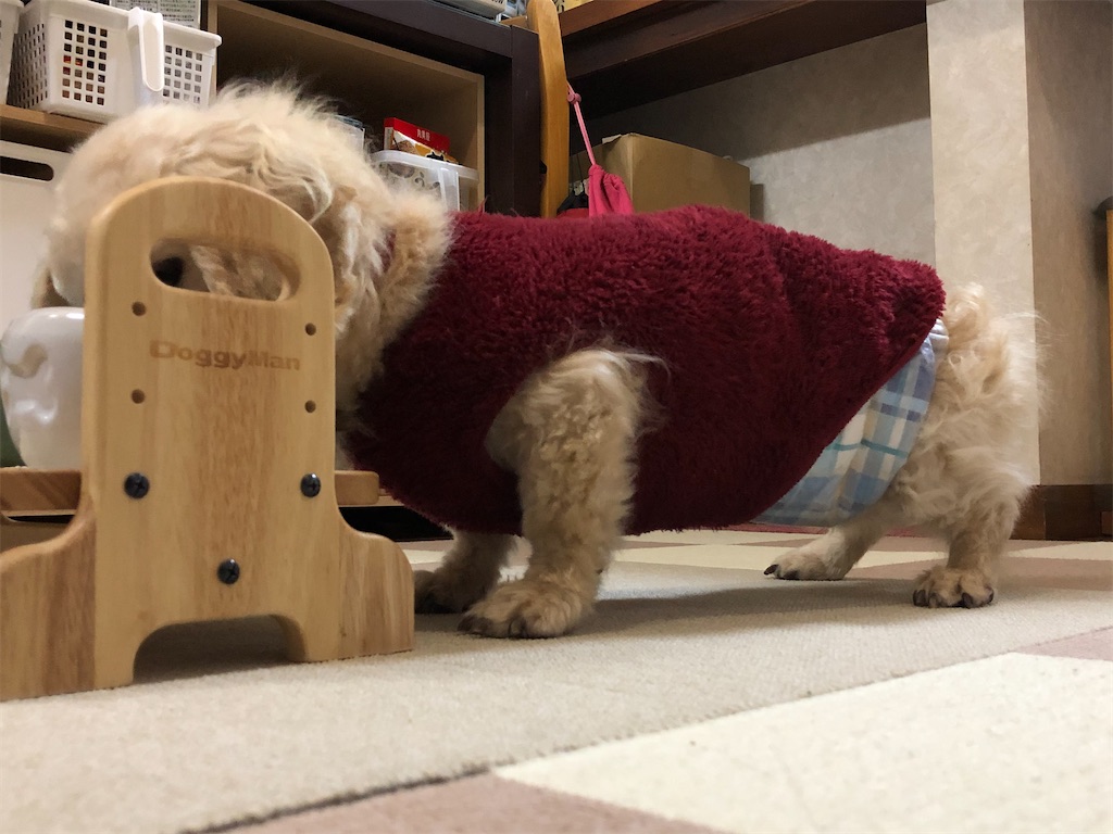 f:id:renkunno:20210204145713j:image