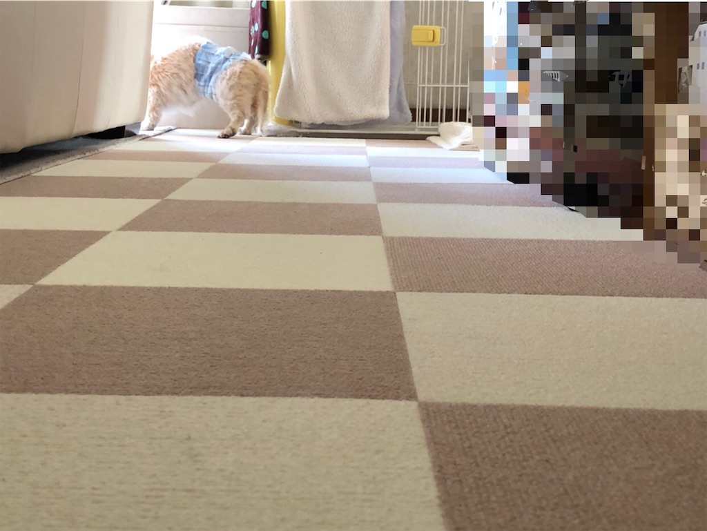 f:id:renkunno:20210310164717j:image f:id:renkunno:20210310164717j:image