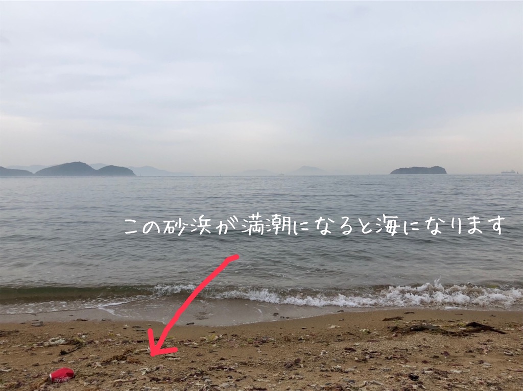 f:id:renkunno:20210316230939j:image f:id:renkunno:20210316230939j:image