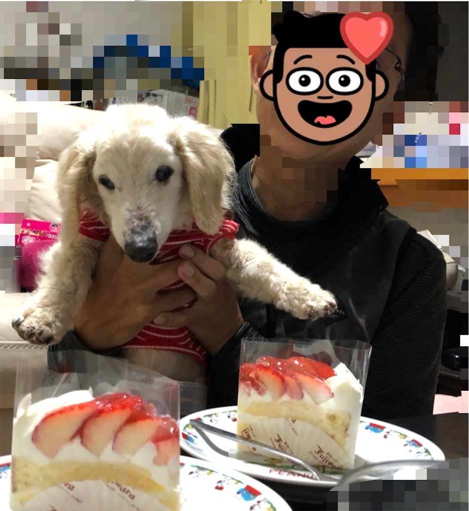 f:id:renkunno:20210317211537j:image