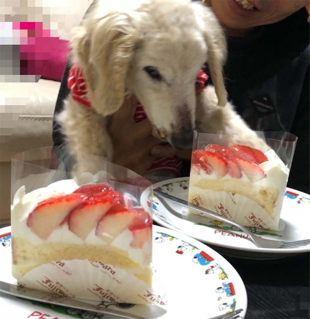f:id:renkunno:20210317211554j:image
