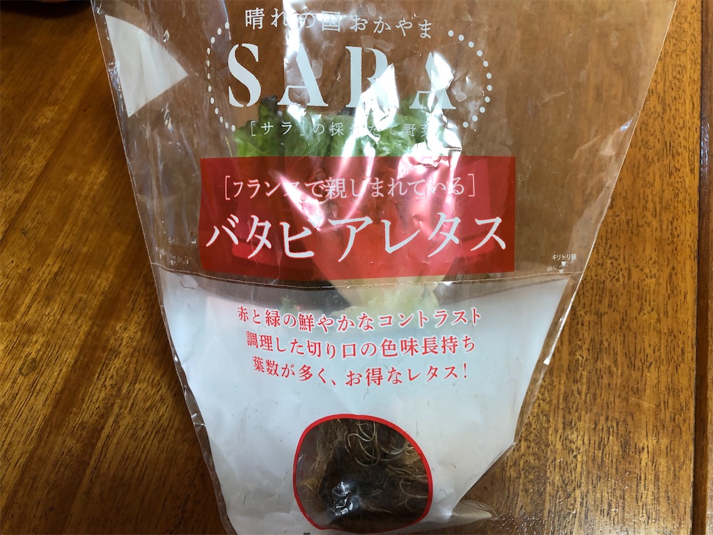 f:id:renkunno:20210318210151j:image f:id:renkunno:20210318210151j:image