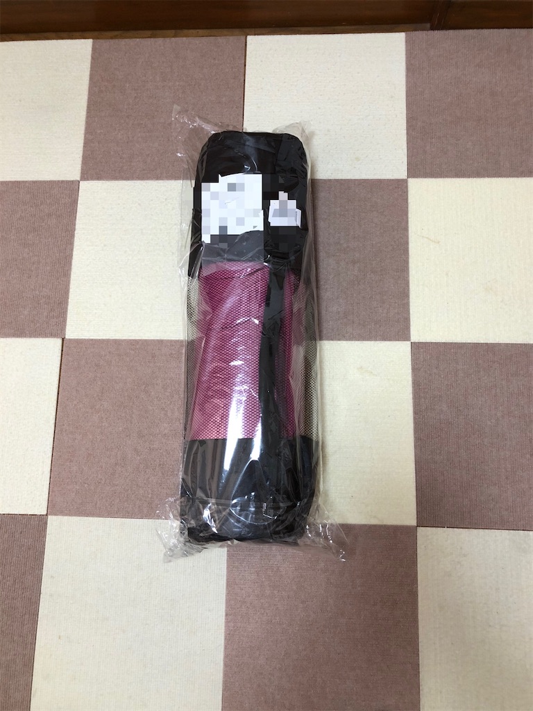 f:id:renkunno:20210330144102j:image f:id:renkunno:20210330144102j:image