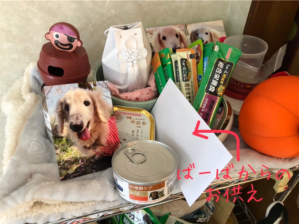 f:id:renkunno:20210418212327j:image