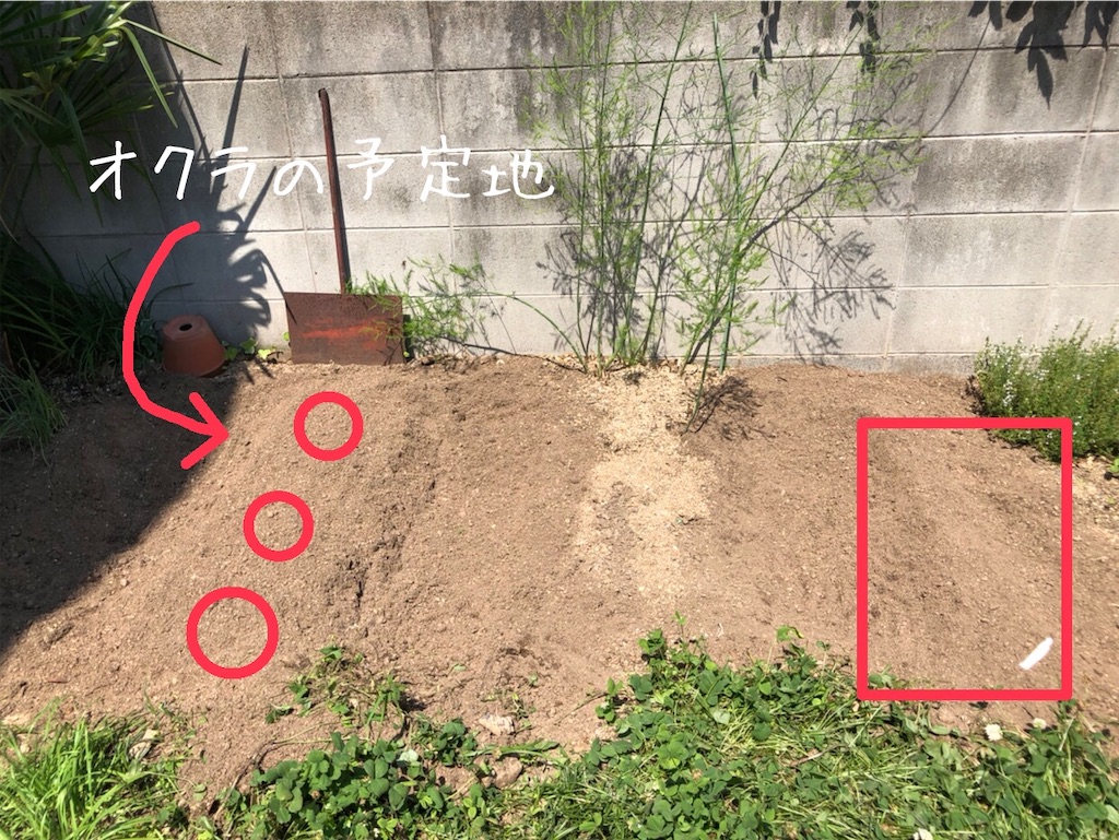 f:id:renkunno:20210529220432j:image f:id:renkunno:20210529220432j:image
