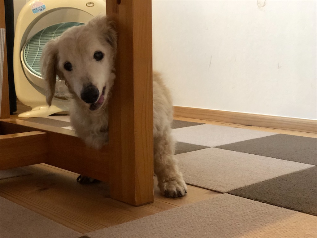 f:id:renkunno:20210622141212j:image f:id:renkunno:20210622141212j:image