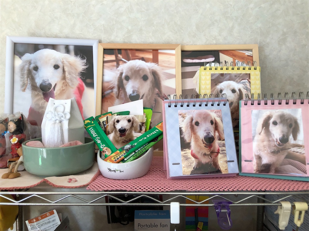 f:id:renkunno:20211113124424j:image f:id:renkunno:20211113124424j:image