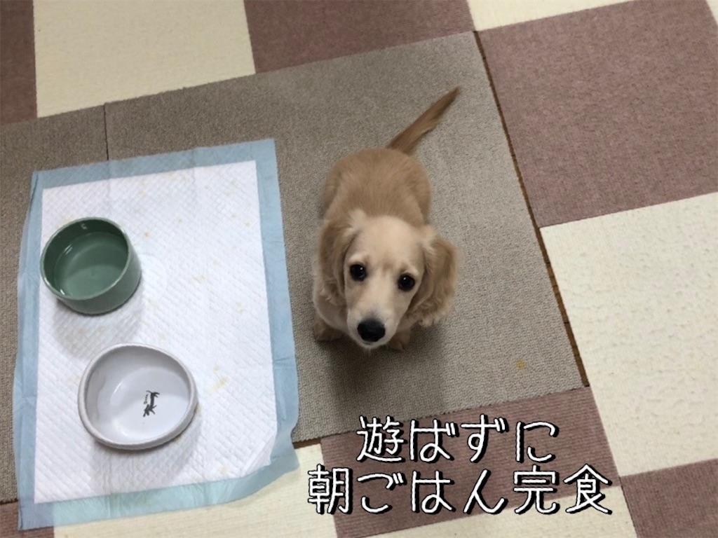 f:id:renkunno:20211120232452j:image