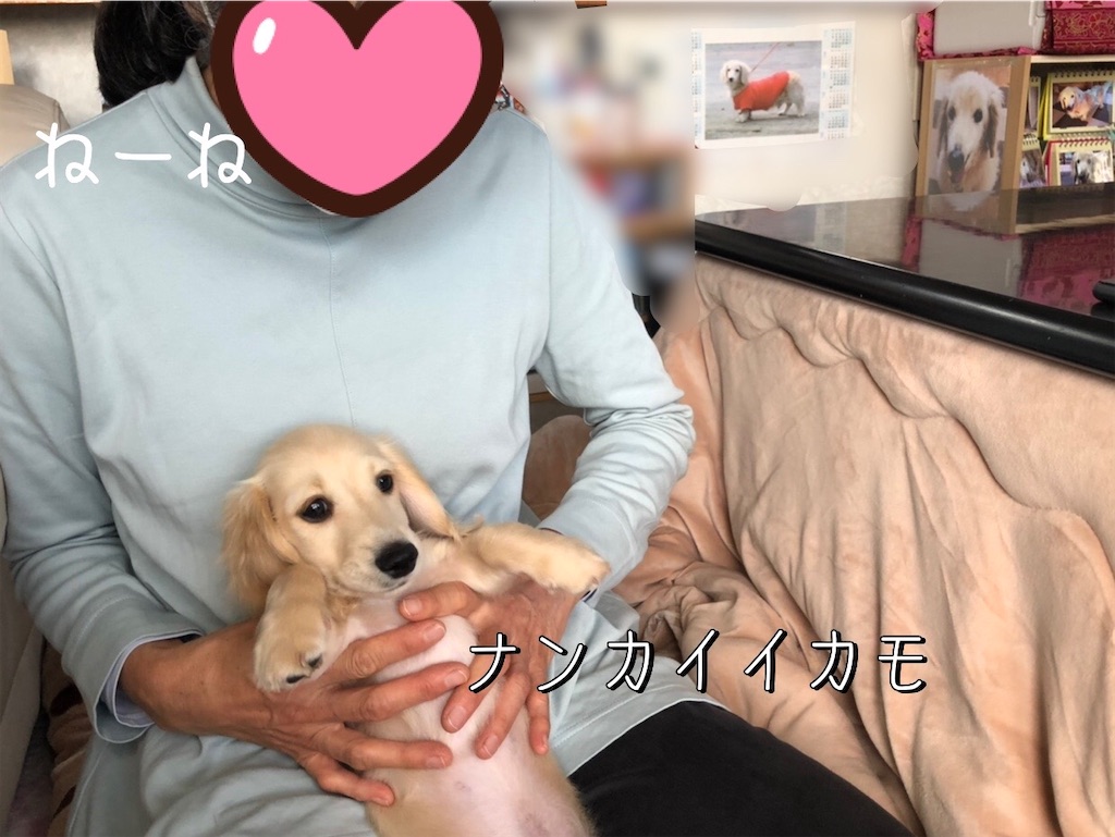 f:id:renkunno:20211121144009j:image