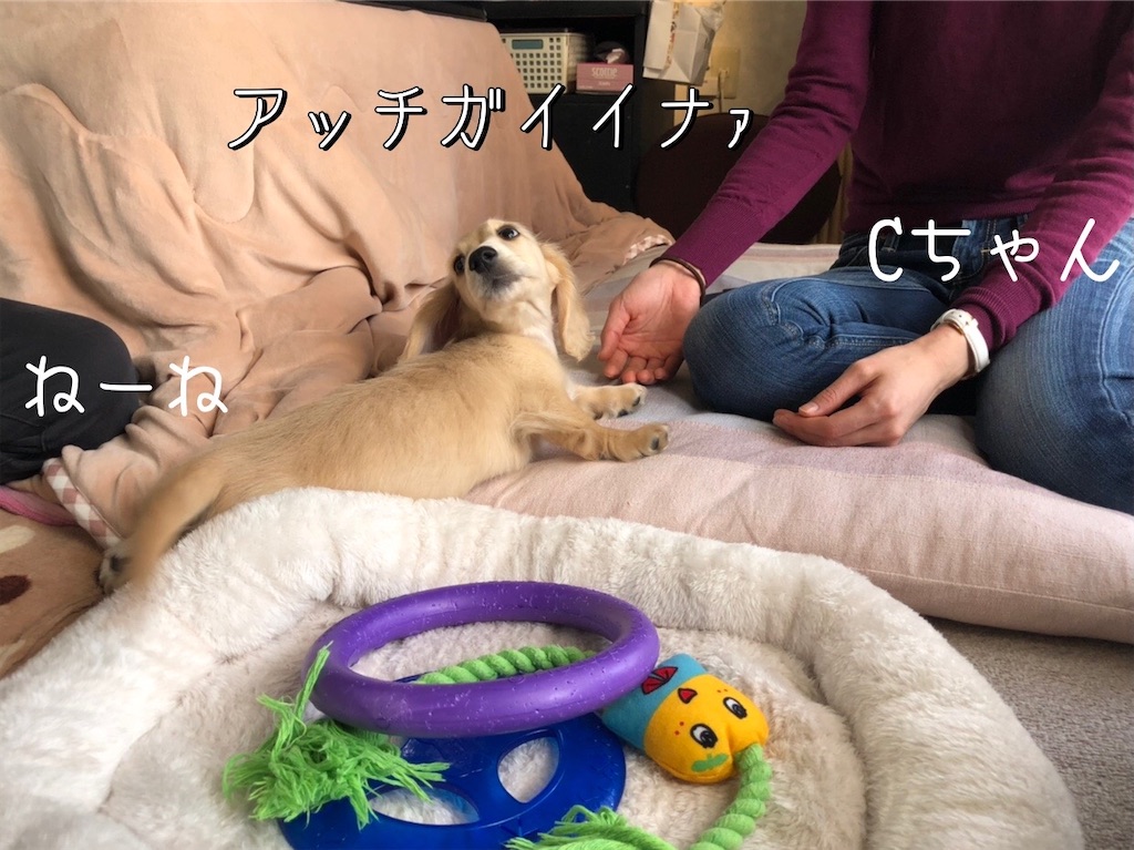 f:id:renkunno:20211121144116j:image