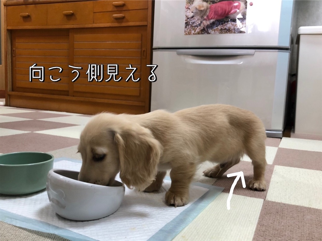 f:id:renkunno:20211128064110j:image
