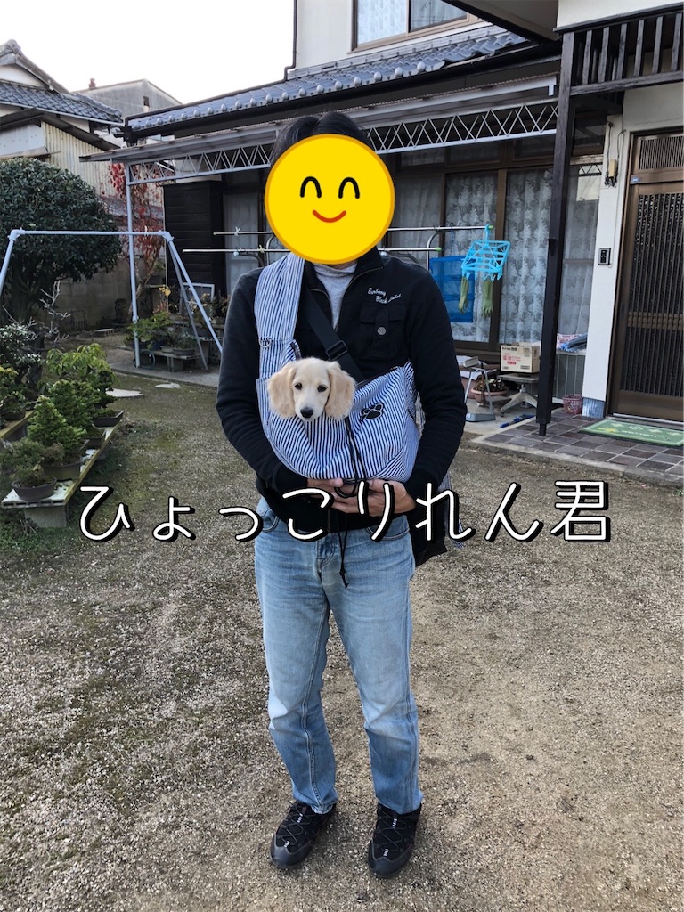 f:id:renkunno:20211129133335j:image f:id:renkunno:20211129133335j:image