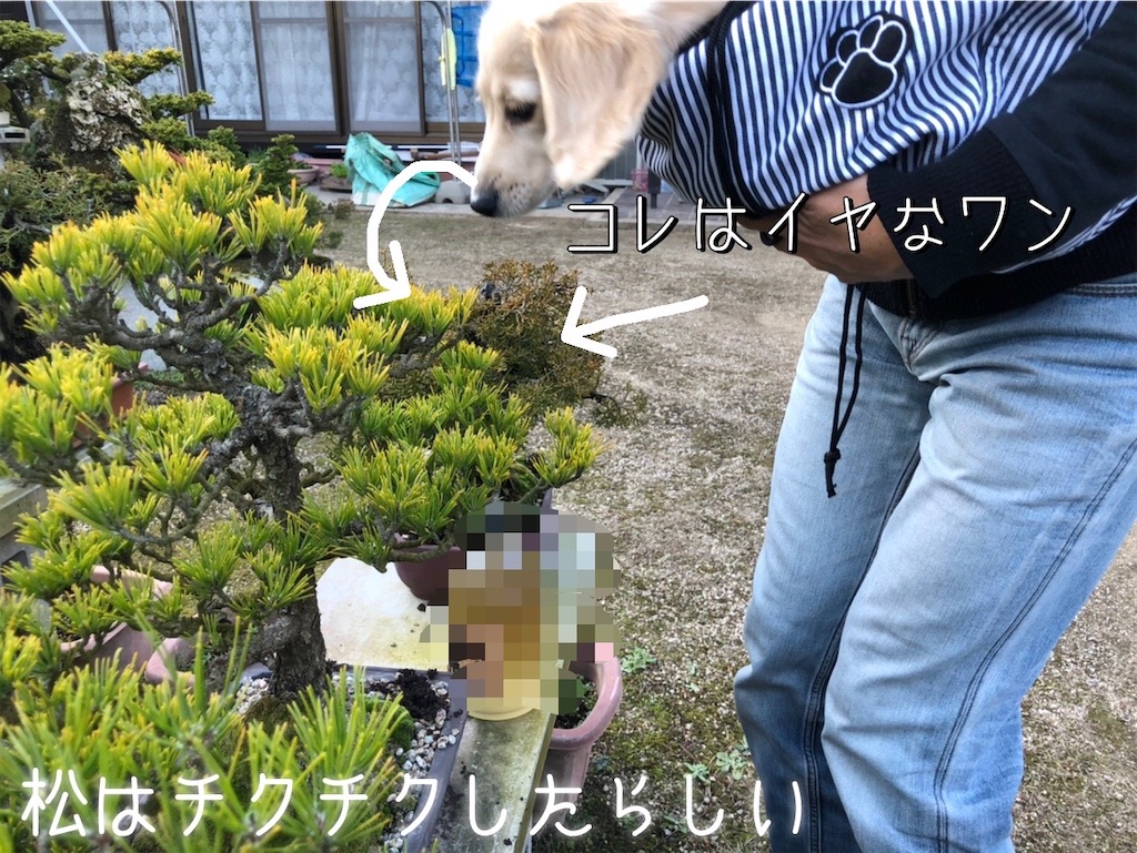 f:id:renkunno:20211129133342j:image f:id:renkunno:20211129133342j:image
